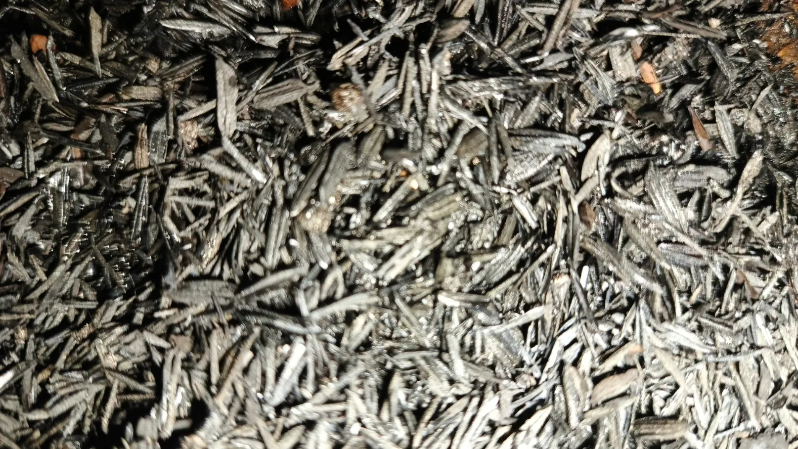 Bisnis Abu Sekam Padi