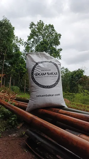 Cara Meningkatkan Pertumbuhan Akar dengan Sekam Bakar