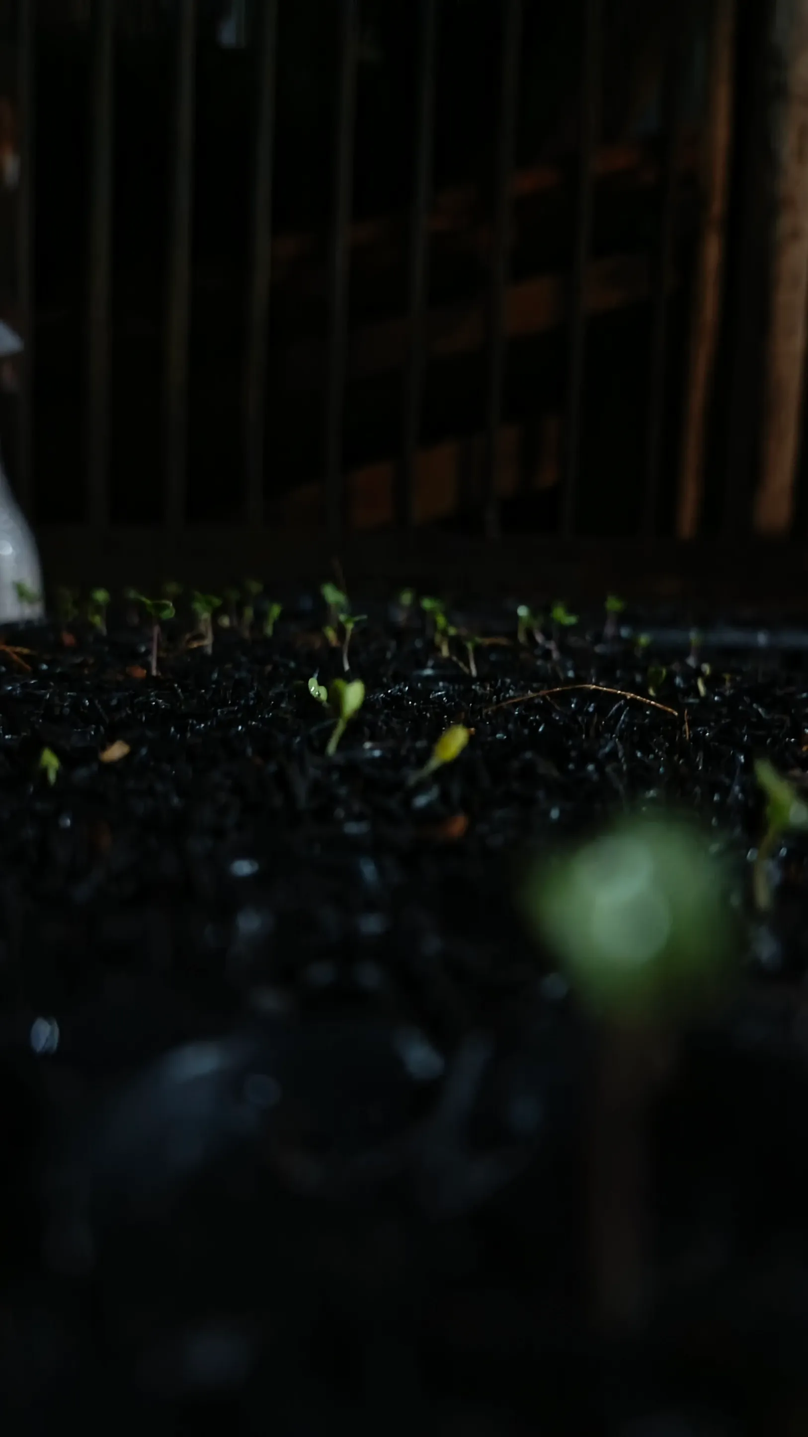 Media Tanam Murah untuk Urban Farming